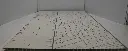 Farm House panel1.webp